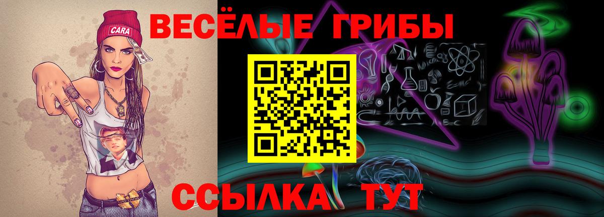Псилоцибиновые грибы Psilocybine cubensis Малоярославец